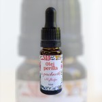 Olej perilla - z pachnotki 10ml